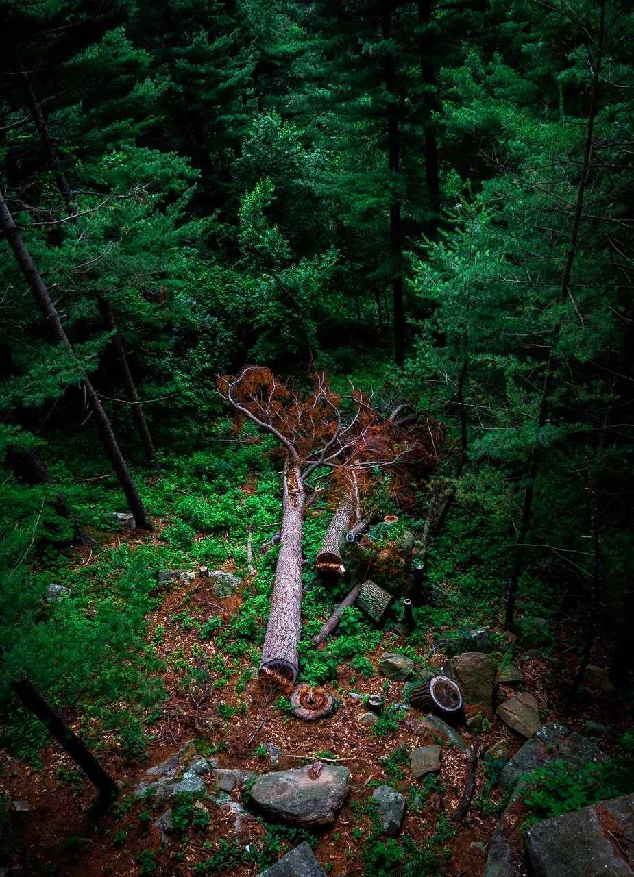Photography — design work by Brian Wing